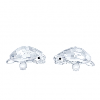 Swarovski 5394564 Baby Tortoises Schildkröten Dekofigur Kristallfigur